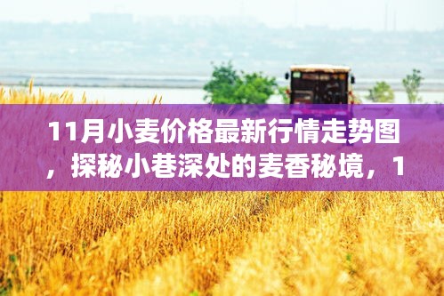 探秘小巷深处的麦香秘境，揭秘特色小店与最新小麦价格走势的奇妙故事