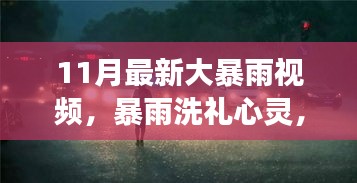 11月大暴雨洗礼，心灵觉醒，知识重塑自信之旅
