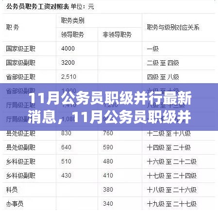 11月公务员职级并行最新消息全解析，从某某观点看职业发展新动向