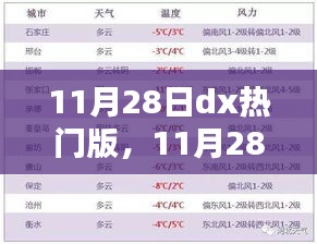 11月28日dx热门版，11月28日DX热门版，温馨日常里的快乐时光