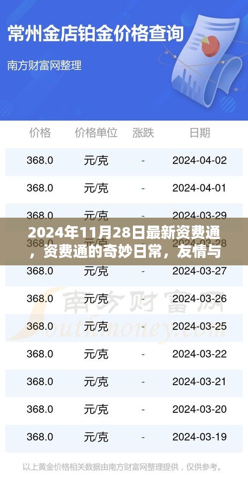 2024年资费通奇妙日常，友情与爱的温馨传递