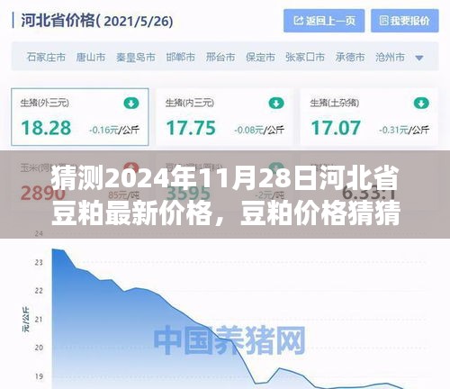 河北省豆粕价格预测，友情与未来的温馨探秘之旅