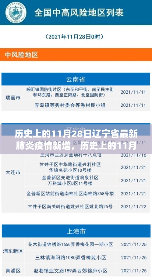 辽宁省肺炎疫情新增背后的励志故事，变化铸就自信与成就感的历程（历史视角）