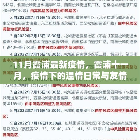 霞浦十一月疫情下的温情与友情力量