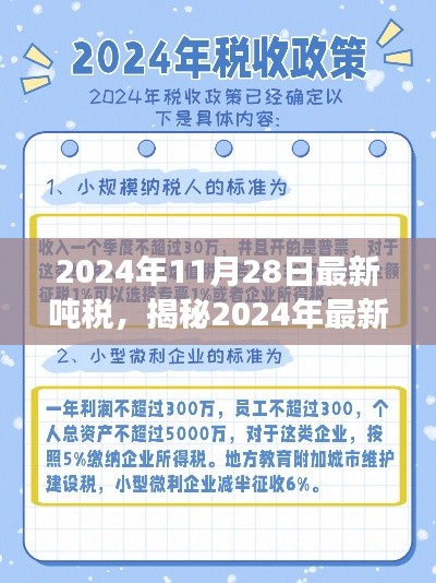 揭秘与解读，2024年最新吨税政策及其应对策略深度解析