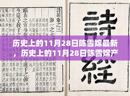 历史上的11月28日陈雪嫦产品全新评测及深度分析，特性、体验、竞品对比与用户需求洞察