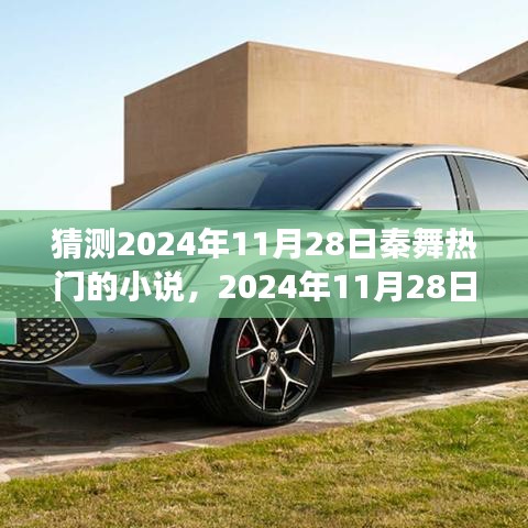 2024年11月28日秦舞热门小说风云探究，背景、事件与影响