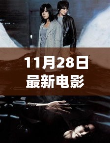 心灵洗涤之旅，最新电影伦理片探寻宁静之道与自然之旅