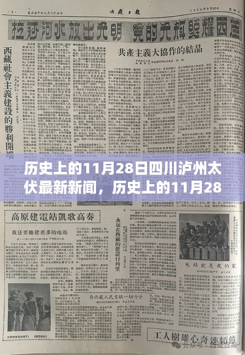 历史上的11月28日四川泸州太伏事件最新新闻报道综合评述