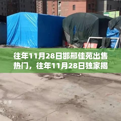 独家揭秘，往年11月28日邯邢佳苑房产市场的炙热风云与出售热潮