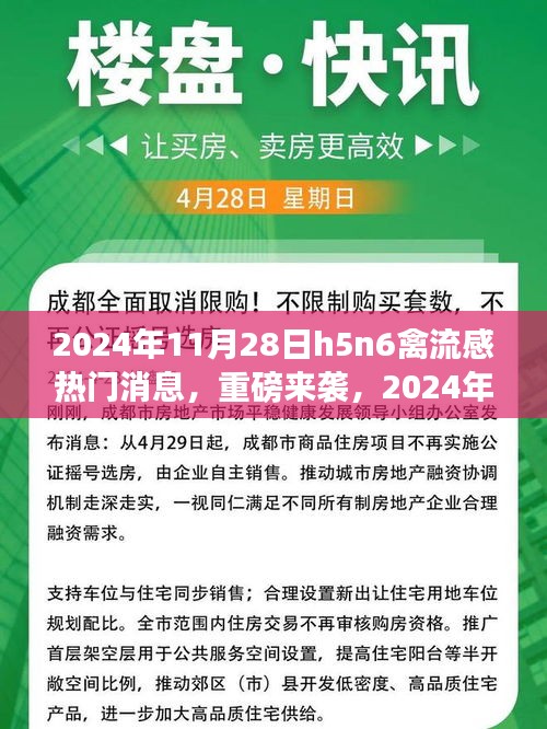 2024年11月28日H5N6禽流感最新动态与热门消息