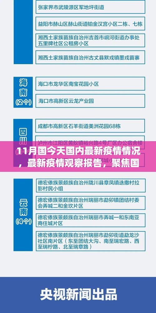 11月国内最新疫情观察报告，国内防控进展及十一月疫情状况聚焦