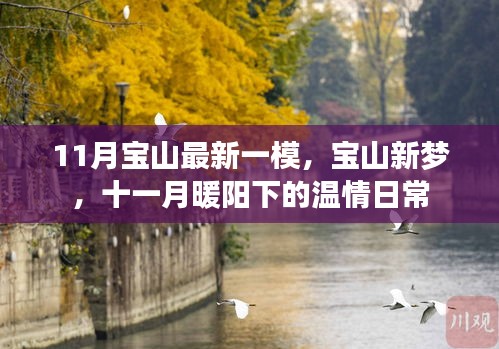 宝山新梦，十一月暖阳下的温情日常与最新一模