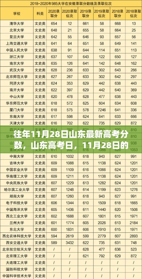 山东高考日揭秘，历年11月28日分数揭晓与友情见证时刻