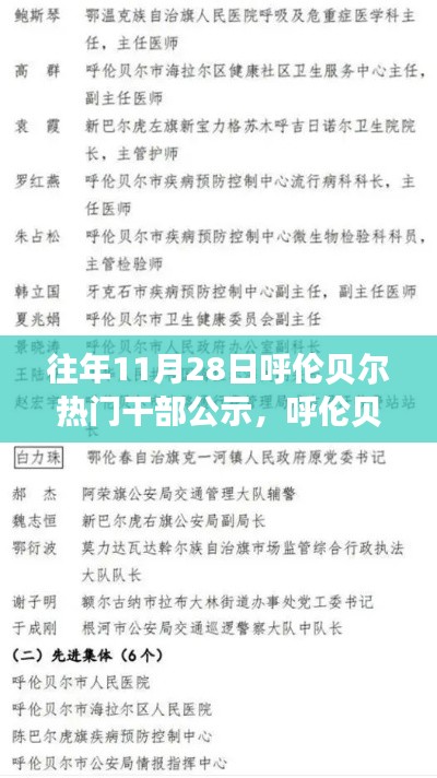 呼伦贝尔历年11月28日干部公示及测评介绍