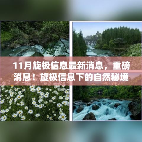 旋极信息最新重磅消息揭秘，自然秘境之旅探寻宁静之心奇妙之旅