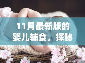 探秘小巷深处的婴儿辅食秘境，11月最新版特色美食大揭秘！