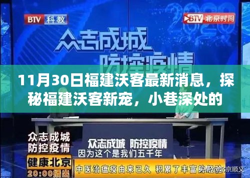 支付方式说明 第215页