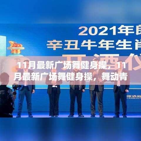 11月最新广场舞健身操，11月最新广场舞健身操，舞动青春，活力四溢