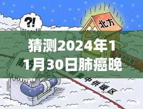 肺癌晚期星光之旅，未来治疗方案的希望与爱的力量（预测至2024年11月30日）