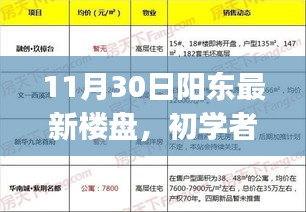 11月30日阳东最新楼盘购房全攻略，初学者与进阶用户必读