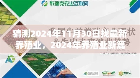 2024年养殖业新篇章，探索、变革与未来展望