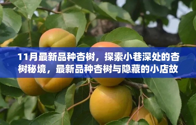 探索杏树秘境，最新品种杏树与小巷深处的小店故事