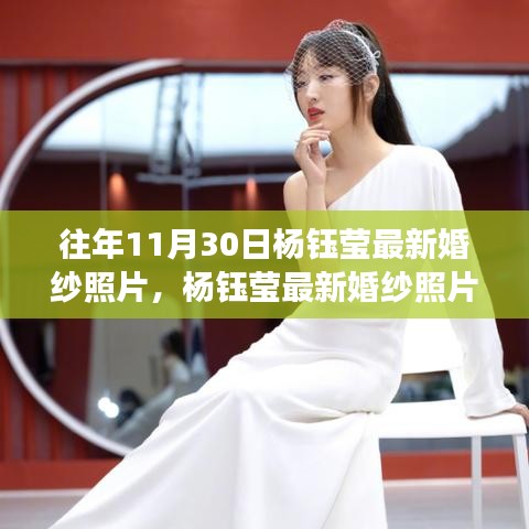 杨钰莹最新婚纱时尚变迁，审美探讨与经典瞬间回顾