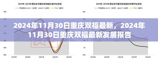重庆双福最新发展报告，2024年11月30日更新概述