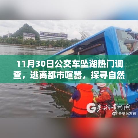 公交车坠湖事件背后的奇妙旅行，逃离都市喧嚣探寻自然美景