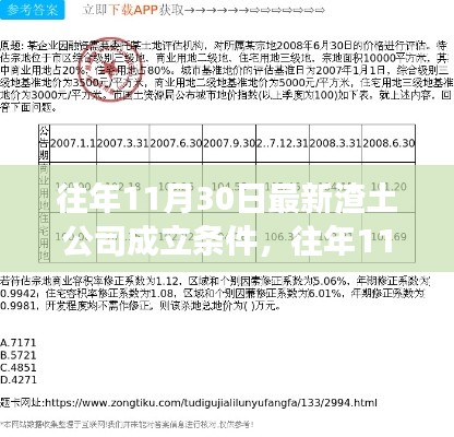 往年11月30日最新渣土公司成立条件深度解析，特性、体验、竞争分析与用户定位全面评测报告