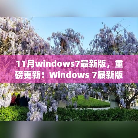 支付方式说明 第212页