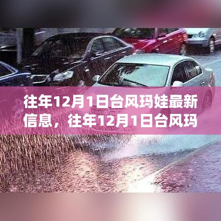 往年12月1日台风玛娃最新动态解析，全面了解台风发展及影响