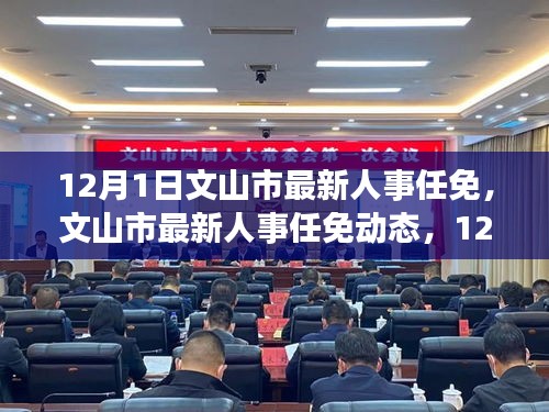12月1日文山市最新人事任免，文山市最新人事任免动态，12月1日篇章下的变革与影响