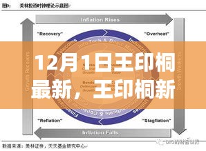 王印桐新品系列深度评测，产品特性与用户体验解析