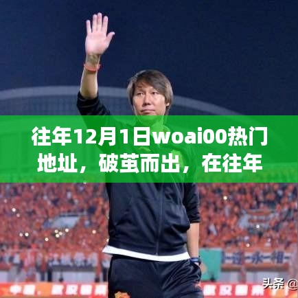 往年12月1日woai00热门地址，探寻成长力量与自信翅膀的破茧之旅