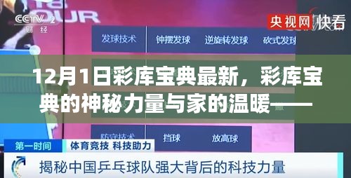东张西望 第5页
