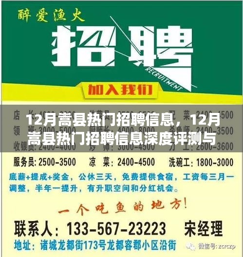12月嵩县热门招聘信息详解与深度评测