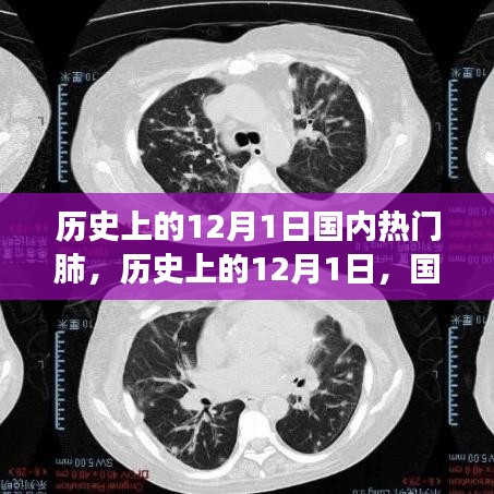 历史上的12月1日，国内热门肺部健康产品深度解析与评测