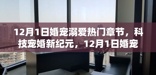 12月1日婚宠溺爱，科技宠婚新纪元与智能系统前沿体验章节
