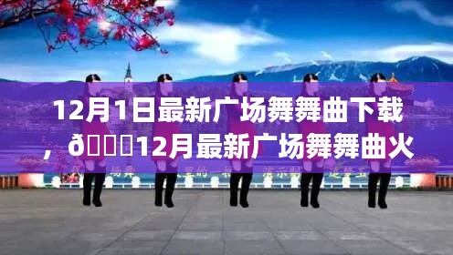 舞动寒冬，最新广场舞舞曲火热下载