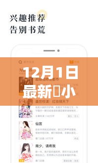 多维度视角下的观点碰撞与个人立场，最新小说发布在12月1日