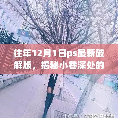 揭秘繁华背后神秘小巷的PS最新破解版乐园，犯罪背后的独特体验揭秘