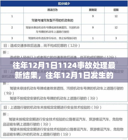 往年12月1日发生的1124事故处理最新结果深度解析与观点阐述