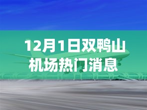 双鸭山机场温馨飞行日，友谊的翅膀与家的温暖传递温暖消息