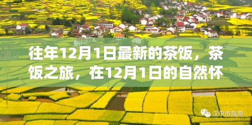 12月1日茶饭之旅，在自然怀抱中寻觅内心平静