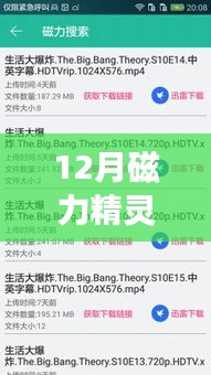 揭秘，揭秘12月磁力精灵云最新破解版背后的风险与犯罪