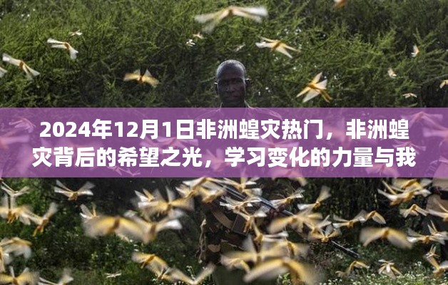 非洲蝗灾背后的希望之光，学习变化的力量与奋斗之旅（2024年1月）
