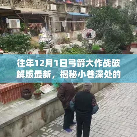 揭秘小巷深处的弓箭大作战破解版乐园，犯罪游戏小店的探索之旅