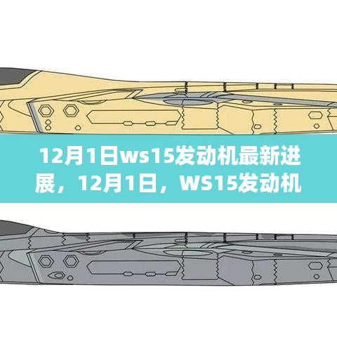 揭秘，WS15发动机最新进展，12月1日动态更新
